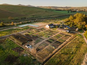 Spier-Food-Garden-aerial-2 (1) (1)