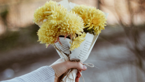 Where to go flower picking