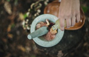 Nature's Gift for Health and Harmony: Frankincense
