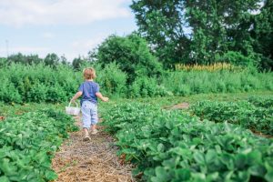A Parent's Guide to Kid-Proofing Your Garden Oasis