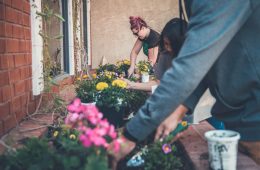 Summer gardening services you need for a blooming garden