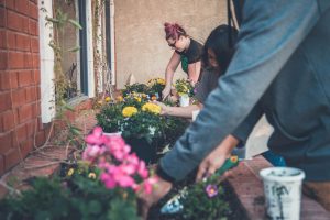 Summer gardening services you need for a blooming garden
