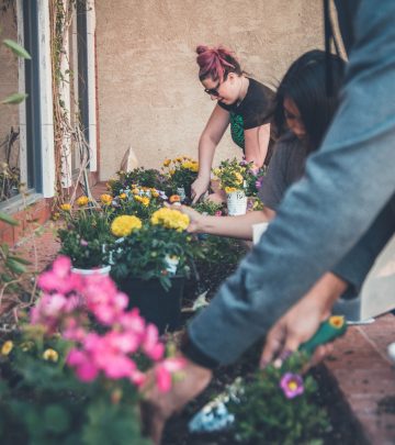 Summer gardening services you need for a blooming garden