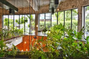 Urban garden5