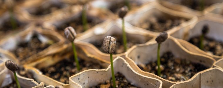 5 things you didn’t know you could compost