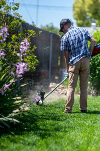 mowing the lawn