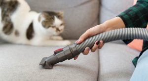 pet hair