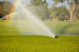 Drip and micro-irrigation for a green garden