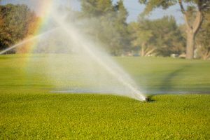 Drip and micro-irrigation for a green garden