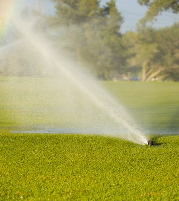 Drip and micro-irrigation for a green garden