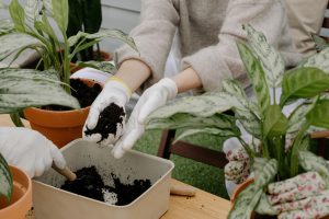 a gardener preparing a container for gardening