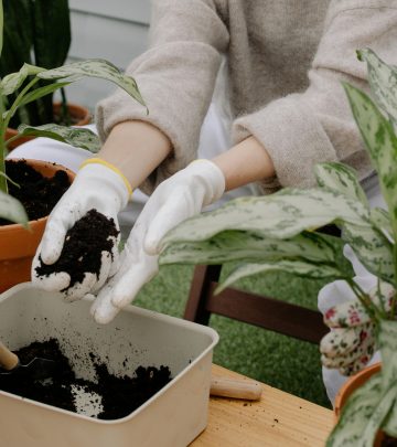 a gardener preparing a container for gardening