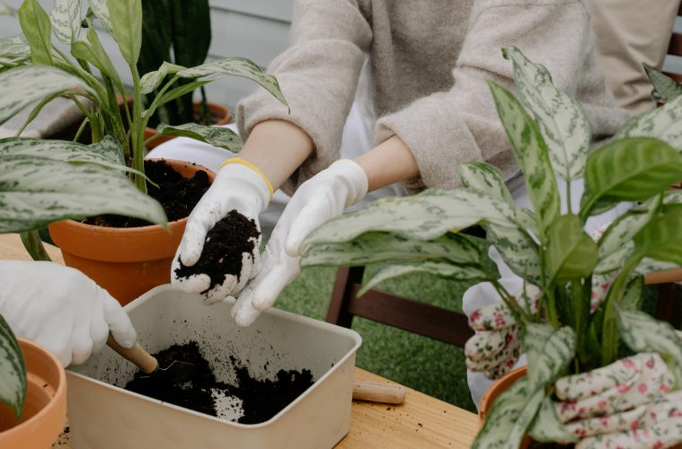 a gardener preparing a container for gardening