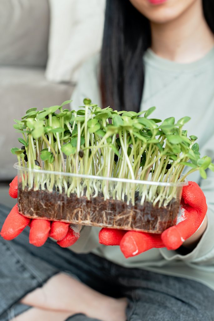 microgreens