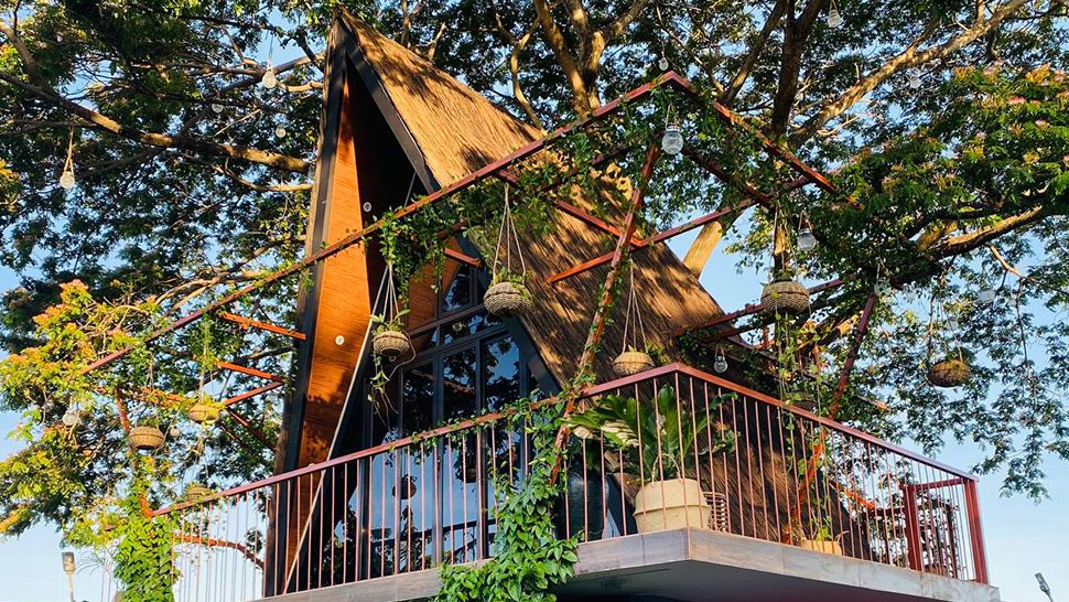 modern day tree house