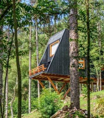 Treehouse in a forest