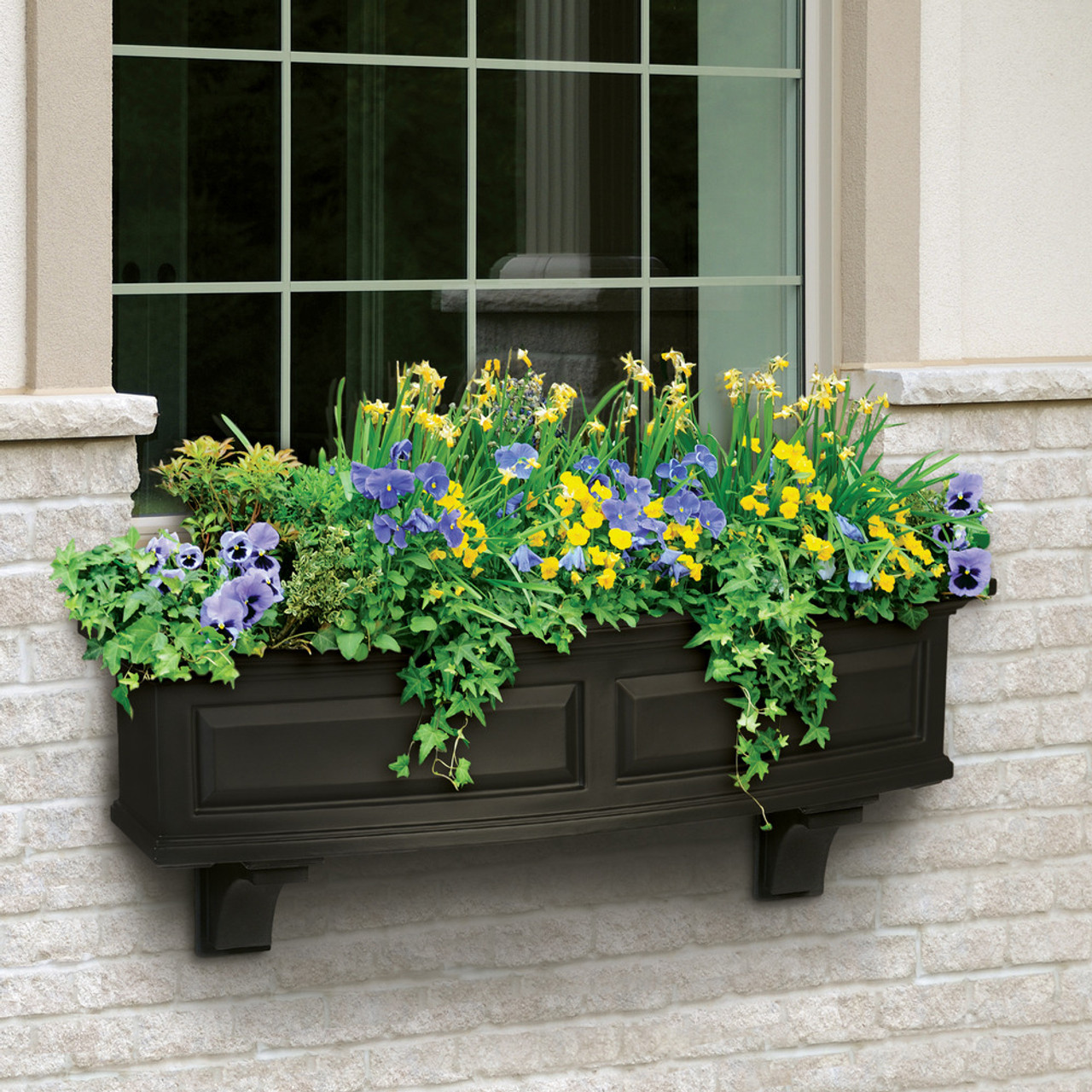 Flowers in a window plant box