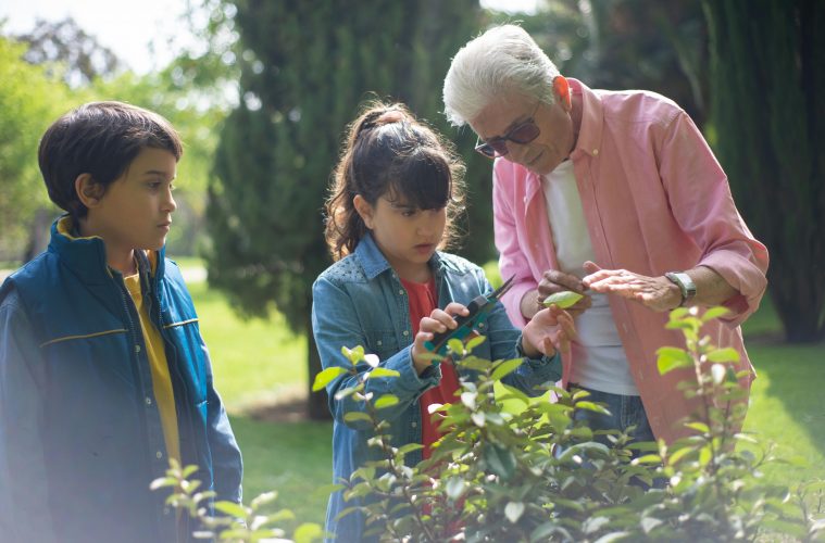 a grandfather showing his grandkid how to deadhead flowers