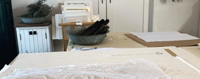 Cape Town artist uses plants from Table Mountain to produce fabric