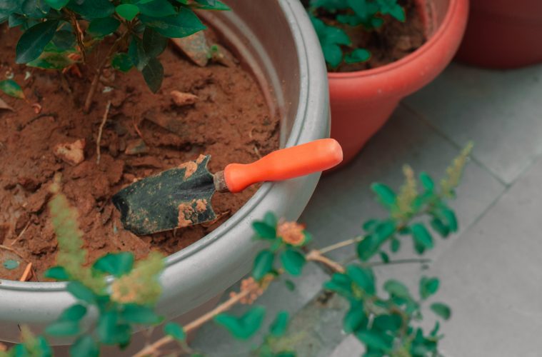 gardening