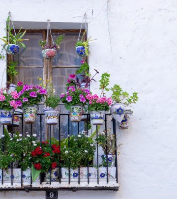 growing a balcony garden