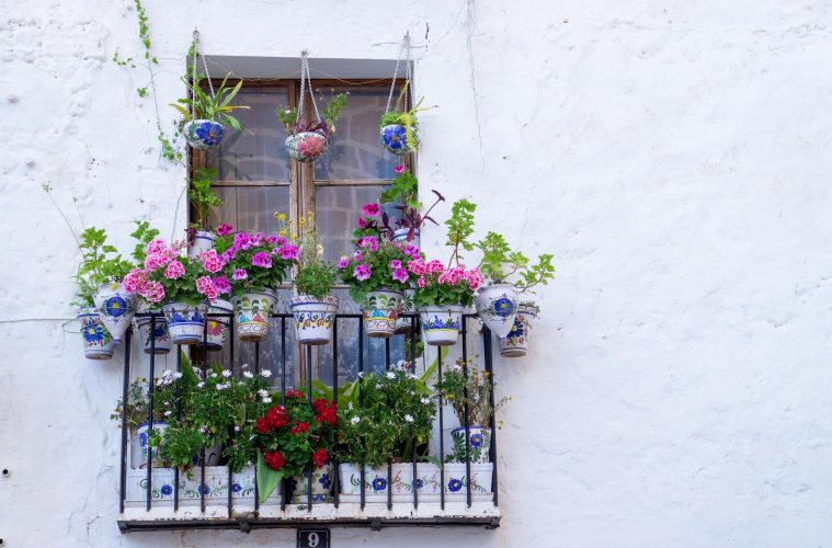 growing a balcony garden