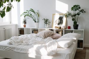 houseplants