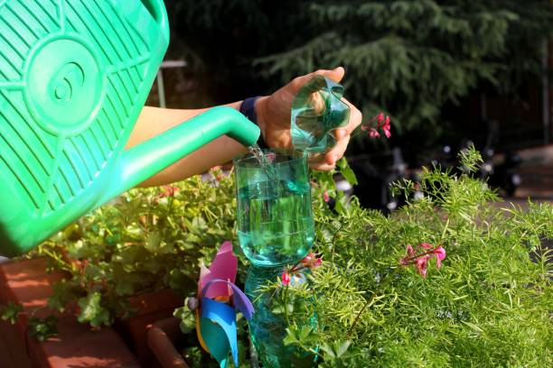 plastic bottles for watering flowers on the balcony as irrigation system