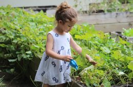 a girl watering the garden