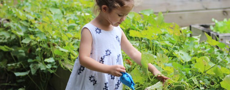 a girl watering the garden