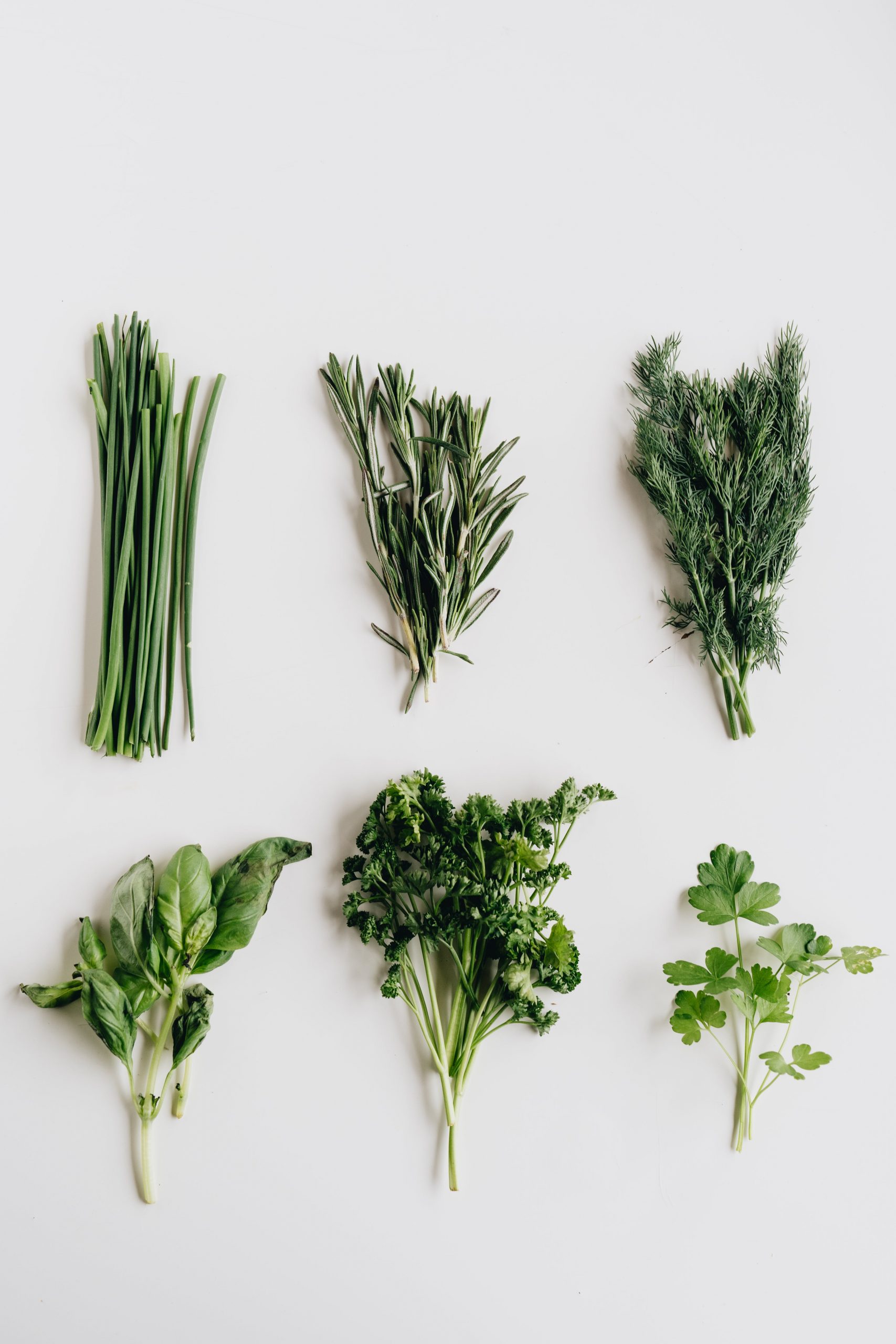 herbs in the kitchen