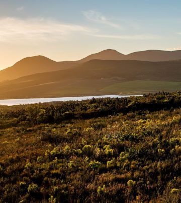 Conservationists efforts to preserve SA's most endangered species