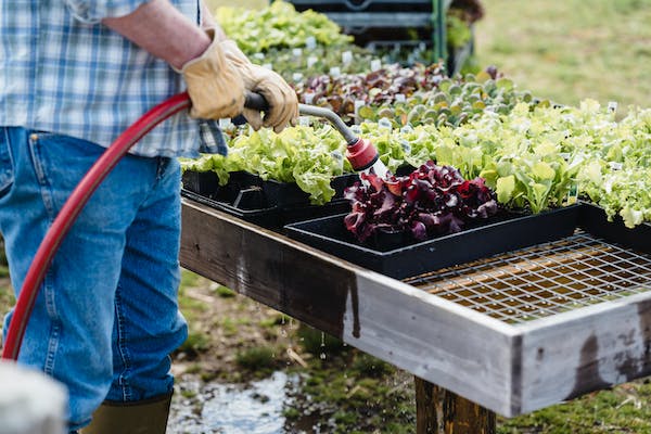 Raised container garden