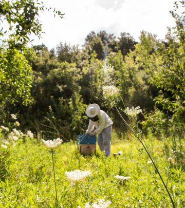 A beginners guide to prepping your yard for gardening