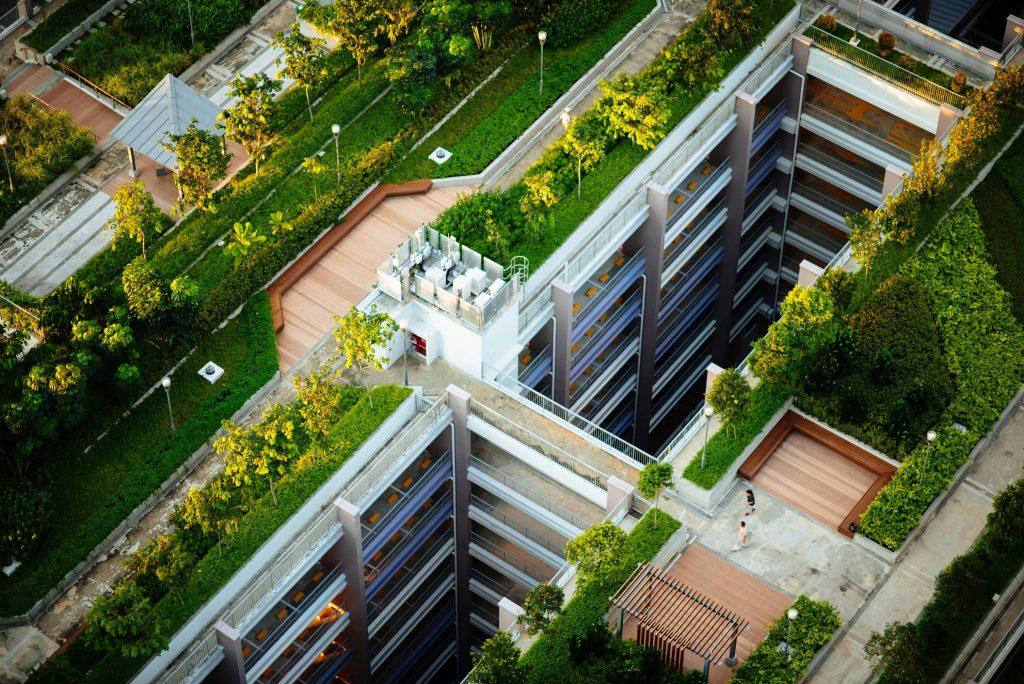 rooftop garden