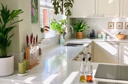 6 Houseplants in the kitchen