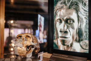 The De Hoop Collection exhibition