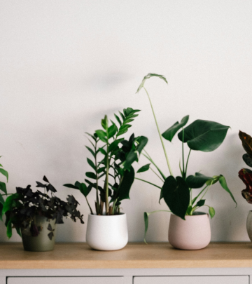 Houseplants in a home on a shelf