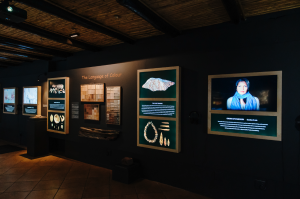 The De Hoop Collection exhibition