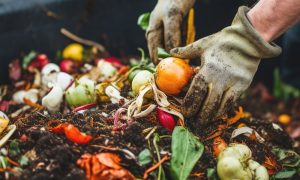 Your guide to home composting