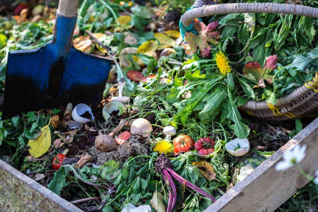 Your guide to home composting | SA Garden and Home