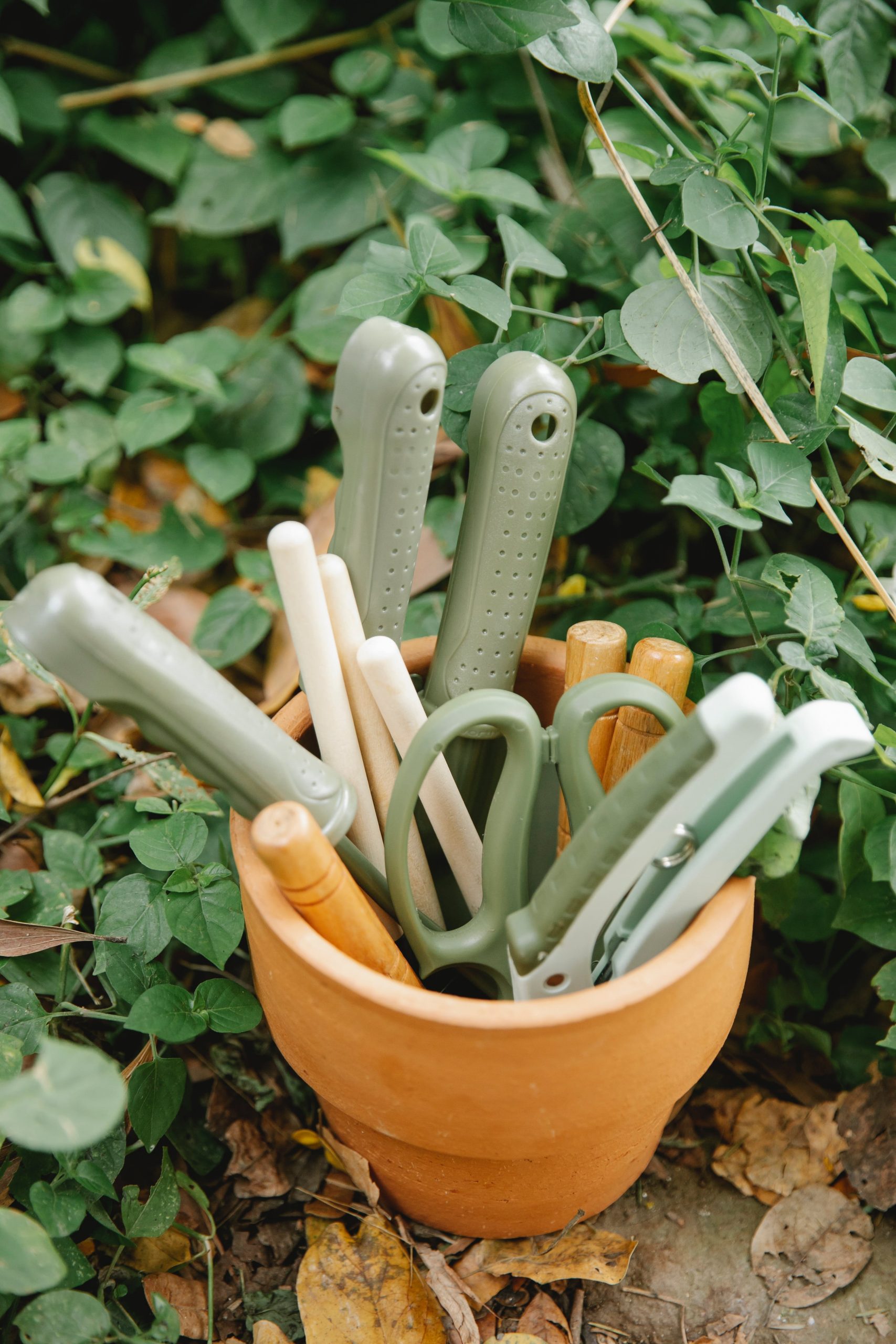 A set of gardening tools