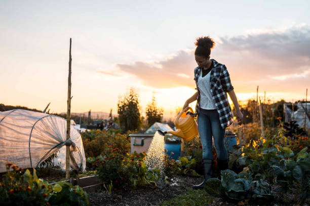 Woman watering the plants in the garden - How to Choose the Right Plants for Your Garden