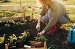 Woman gardening in her garden