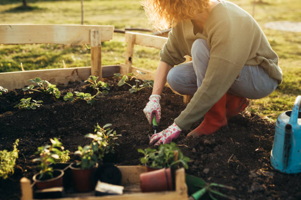 Woman gardening in her garden