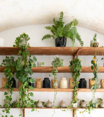 Stylish wall with houseplants with vine plants