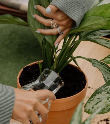 A woman watering houseplants