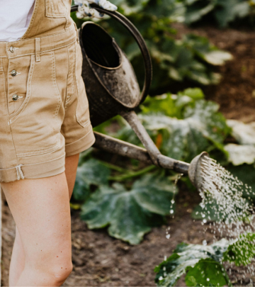 5 watering mistakes to avoid in your vegetable garden