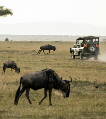 Africa's Best Safaris