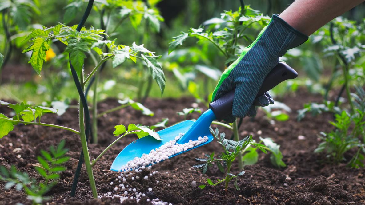 Autumn prep garden nutrients